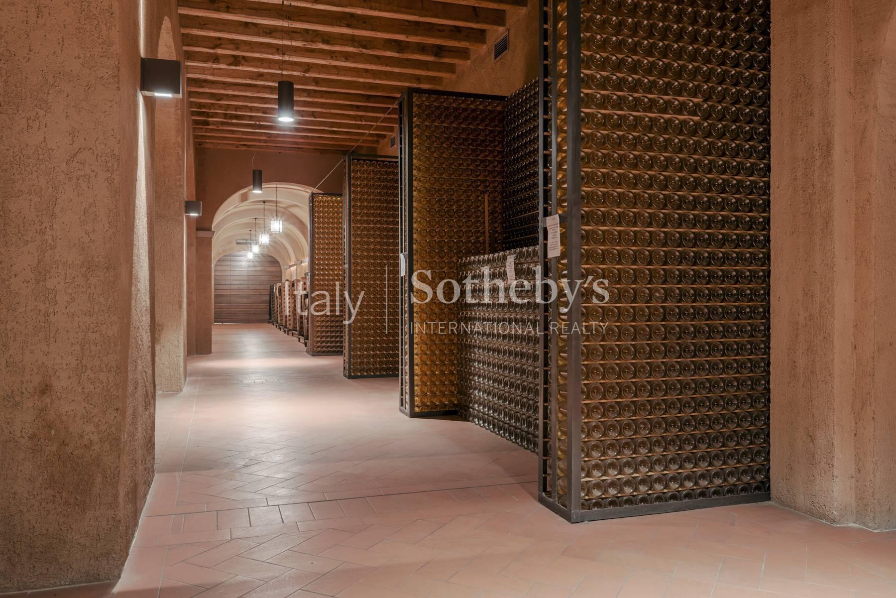 Splendid wine estate in the heart of Franciacorta - 25