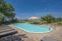 Agriturismo panoramico con produzione olio Bio del chianti, in vendita, Castellina in Chianti | Sotheby’s Realty Italy - 7