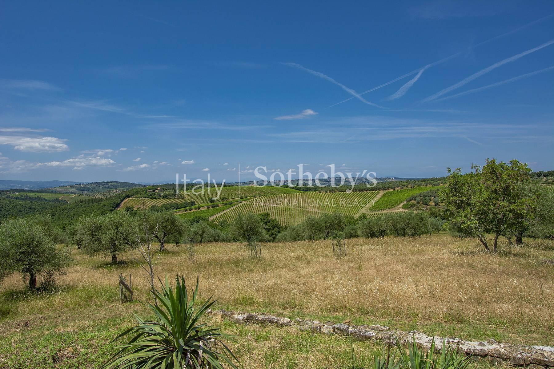 Italian Vineyard Chianti Wine Production