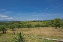 Agriturismo panoramico con produzione olio Bio del chianti, in vendita, Castellina in Chianti | Sotheby’s Realty Italy - 27