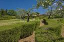 Agriturismo panoramico con produzione olio Bio del chianti, in vendita, Castellina in Chianti | Sotheby’s Realty Italy - 8