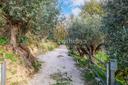 Delizioso casale con piscina a Melizzano, in vendita, Melizzano | Sotheby’s Realty Italy - 7
