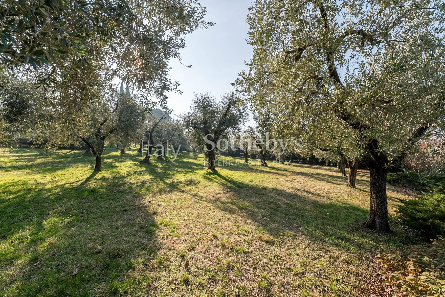 Charming villa with lake view and olive grove - 4