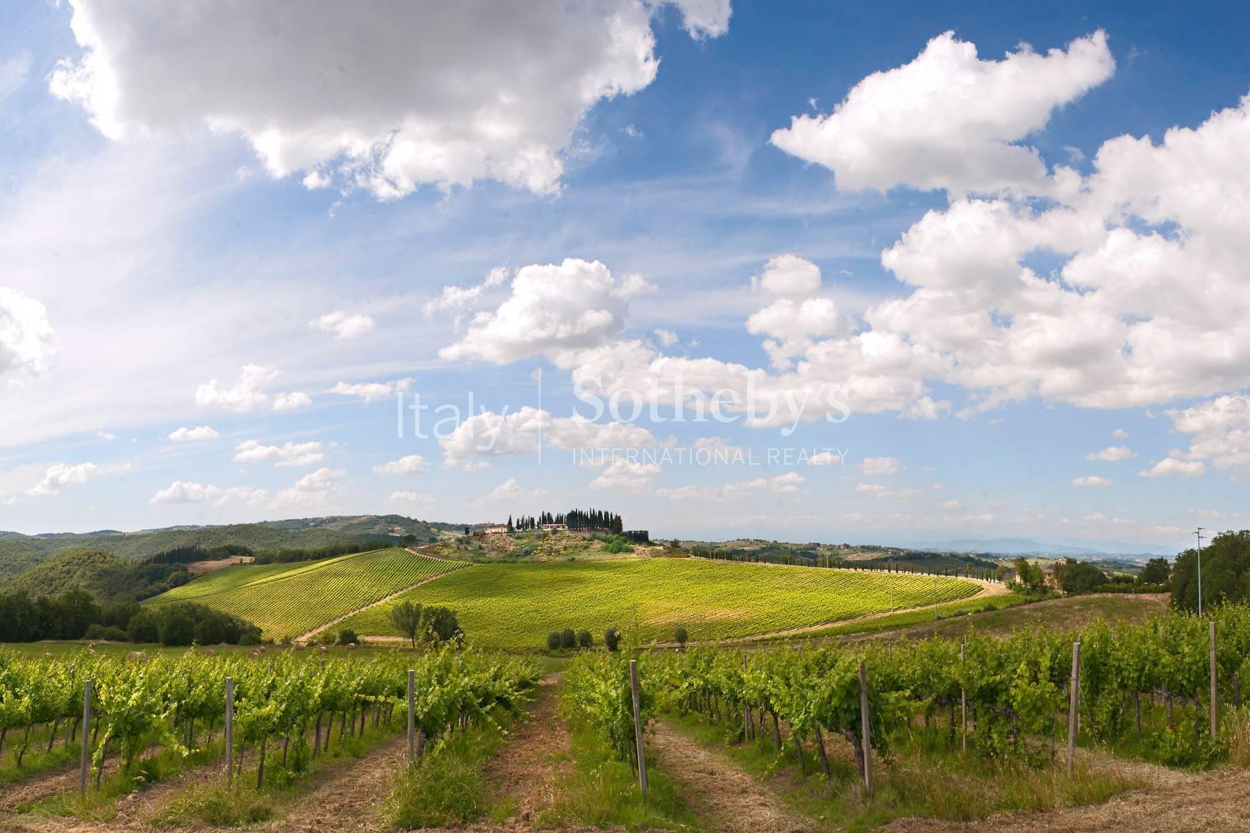 Outstanding wine estate in San Gimignano - 2