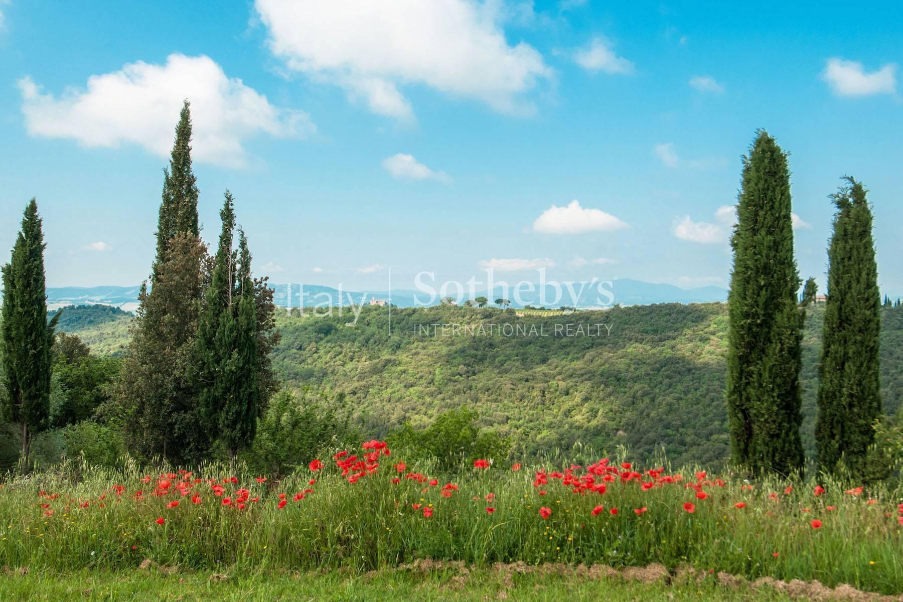 A charming Tuscan villa in the heart of Montalcino - 27