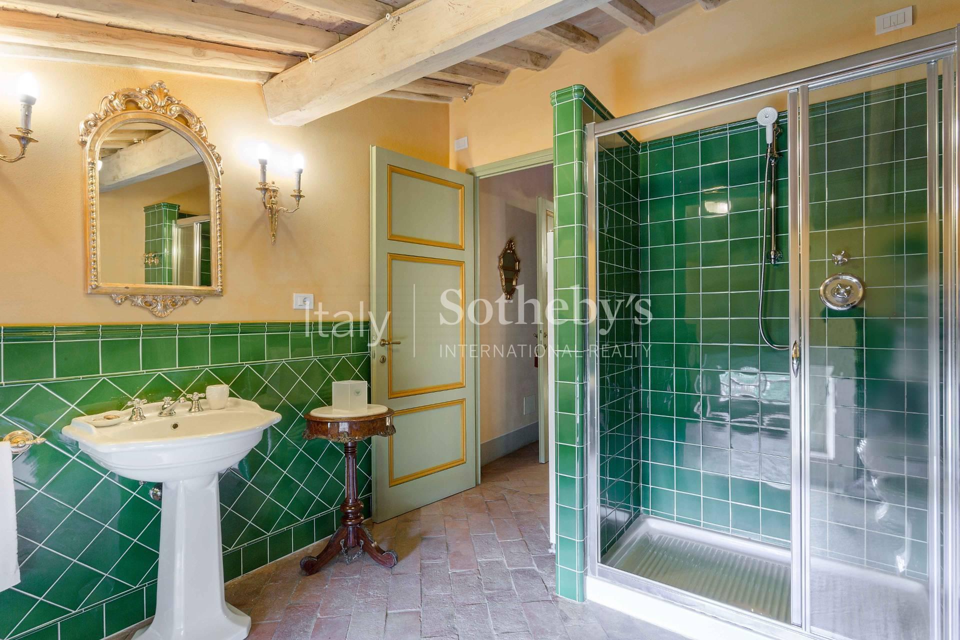 A historical villa surrounded by hill-terraced olive groves - 29