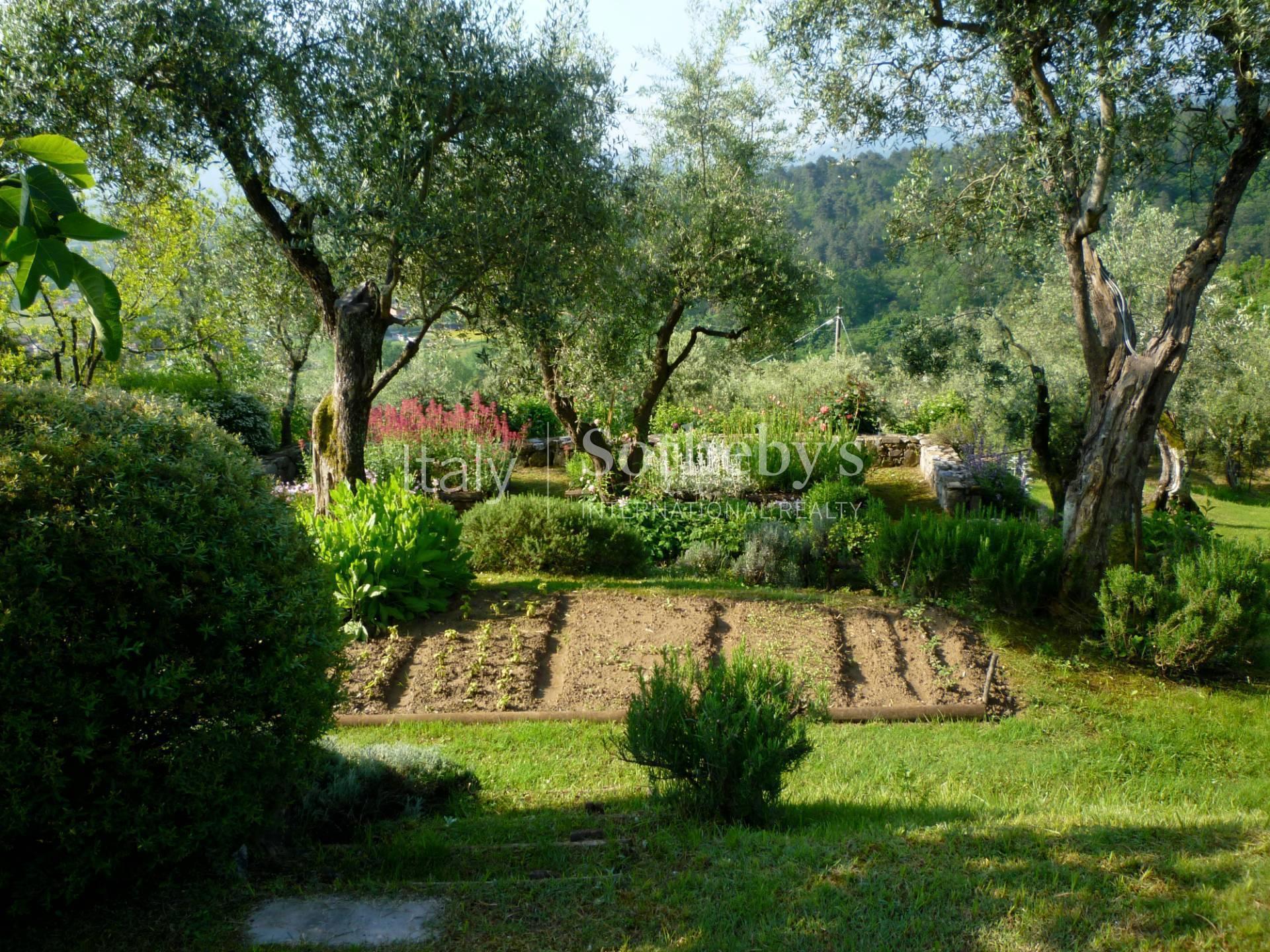 Villa Pulicara - casale di lusso nella campagna toscana, in affitto, Lucca | Sotheby’s Realty Italy - 5
