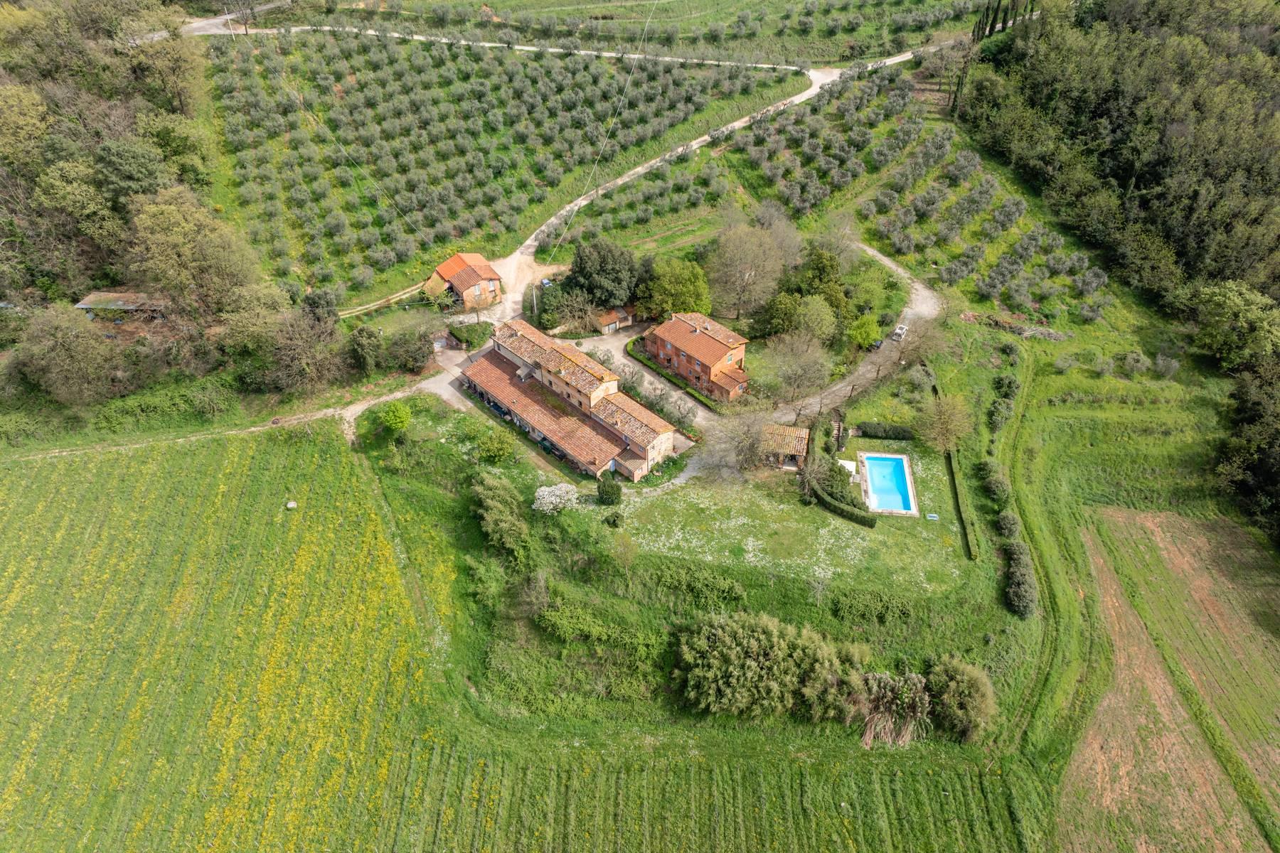 Tenuta vitivinicola sulle colline lucchesi - 1