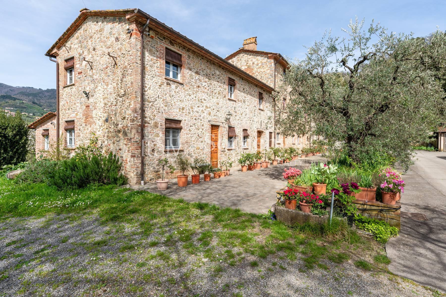 Tenuta vitivinicola sulle colline lucchesi - 4