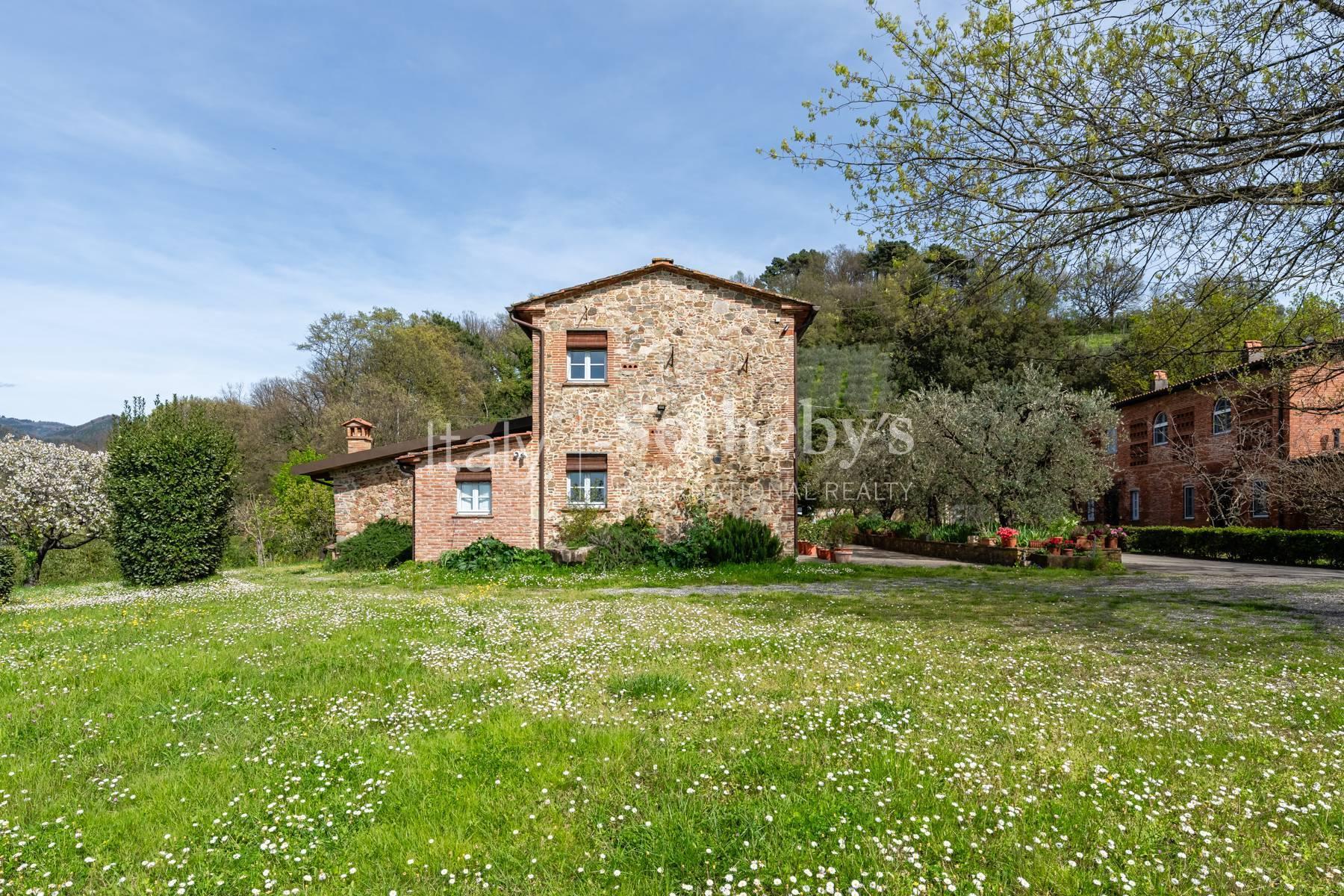 Tenuta vitivinicola sulle colline lucchesi - 5