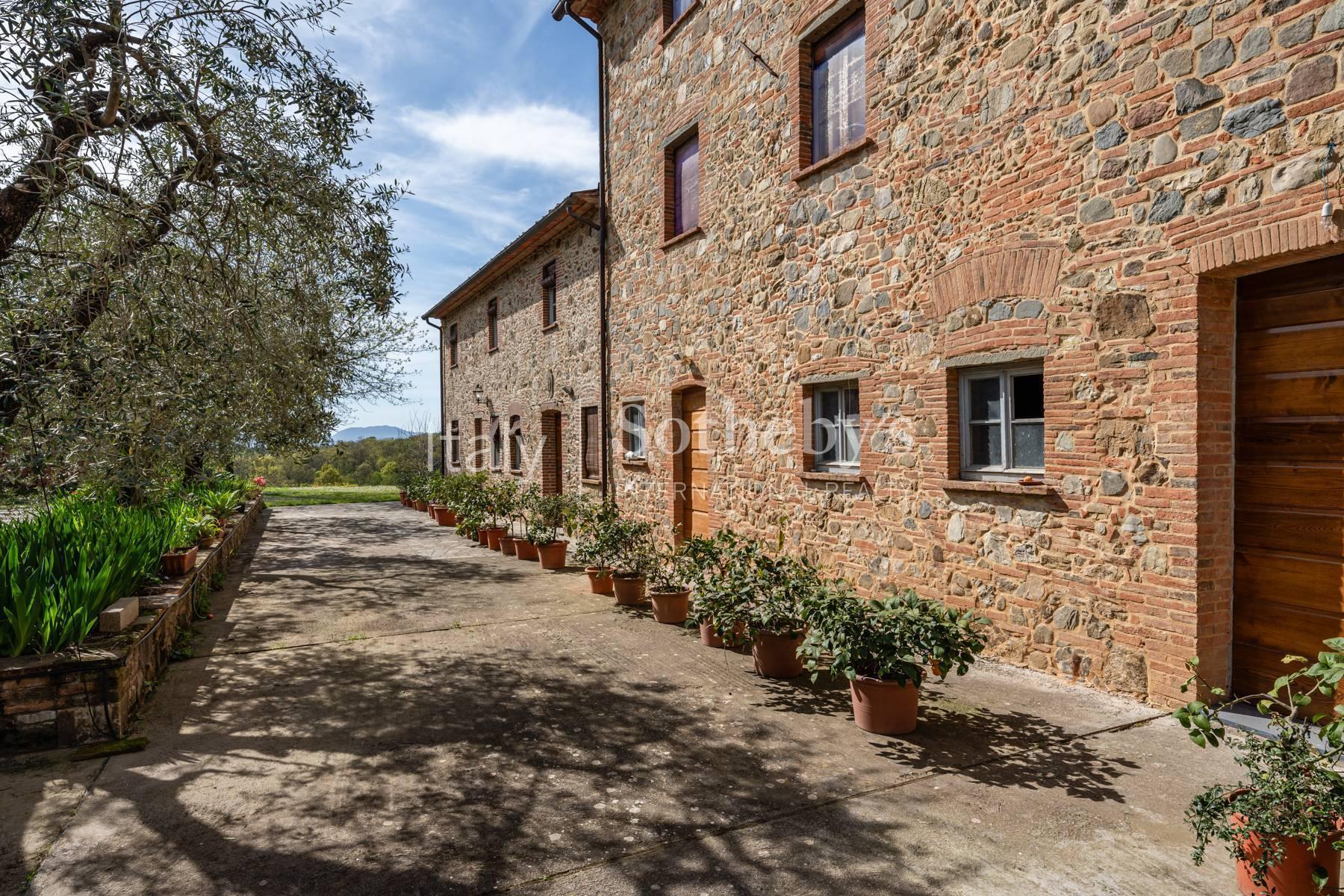 Tenuta vitivinicola sulle colline lucchesi - 3