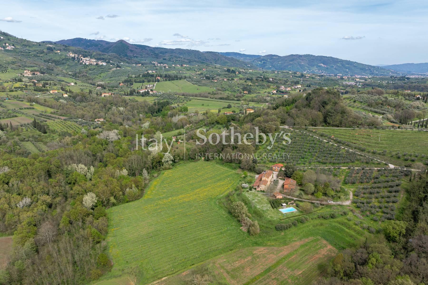 Tenuta vitivinicola sulle colline lucchesi - 7