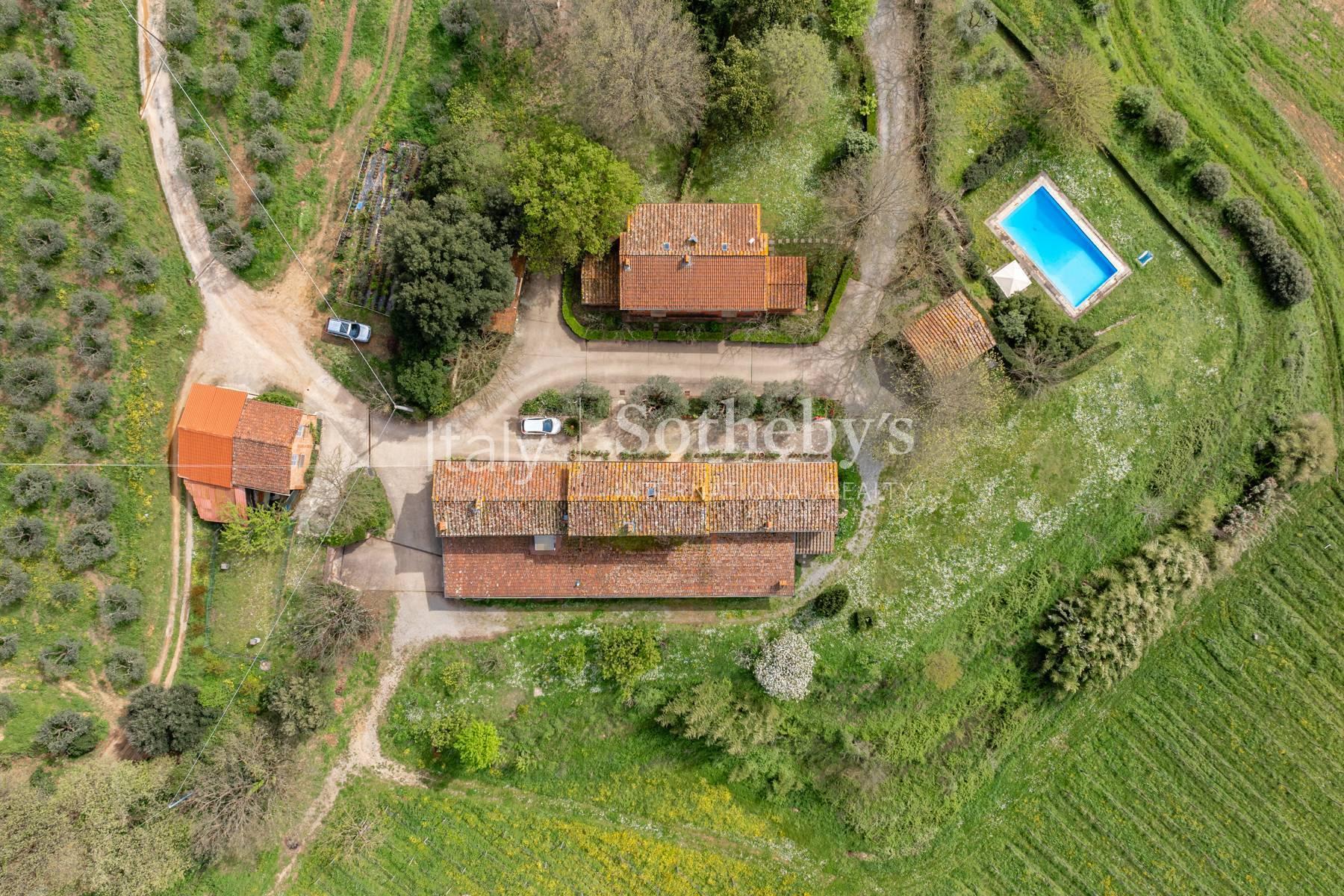 Tenuta vitivinicola sulle colline lucchesi - 8