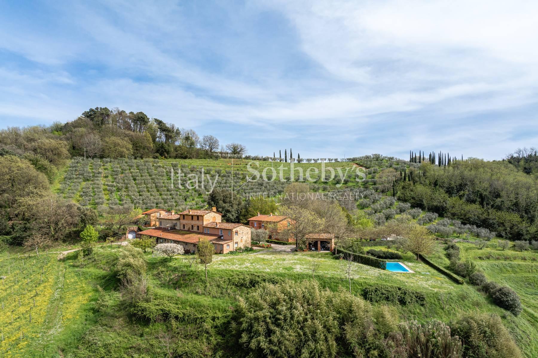 Tenuta vitivinicola sulle colline lucchesi - 2