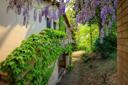 Romantica casa di campagna a 20 minuti da Firenze, in vendita, San Casciano in Val di Pesa | Sotheby’s Realty Italy - 29