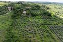 Romantica casa di campagna a 20 minuti da Firenze, in vendita, San Casciano in Val di Pesa | Sotheby’s Realty Italy - 35