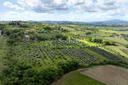 Romantica casa di campagna a 20 minuti da Firenze, in vendita, San Casciano in Val di Pesa | Sotheby’s Realty Italy - 36