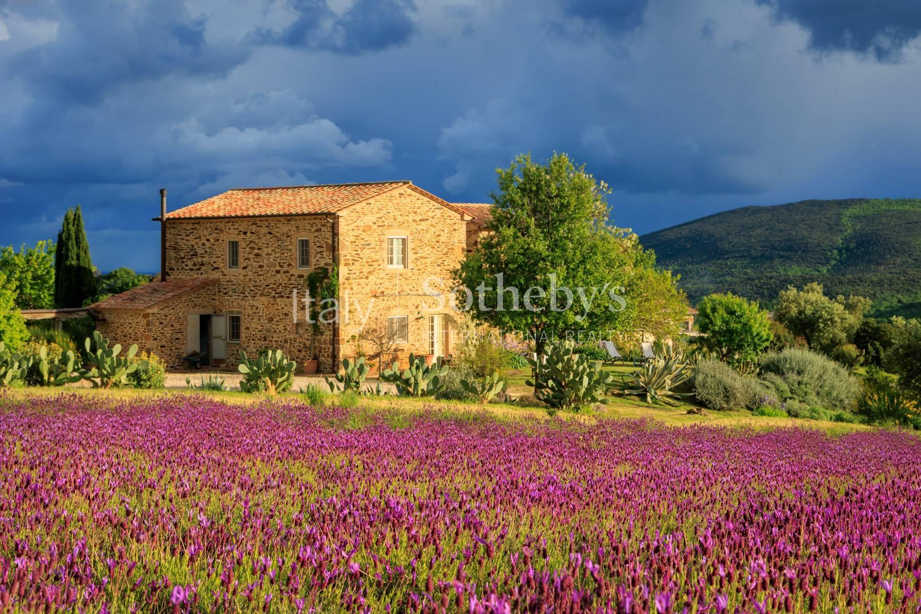 Magnifica Tenuta vicino a Capalbio - 6