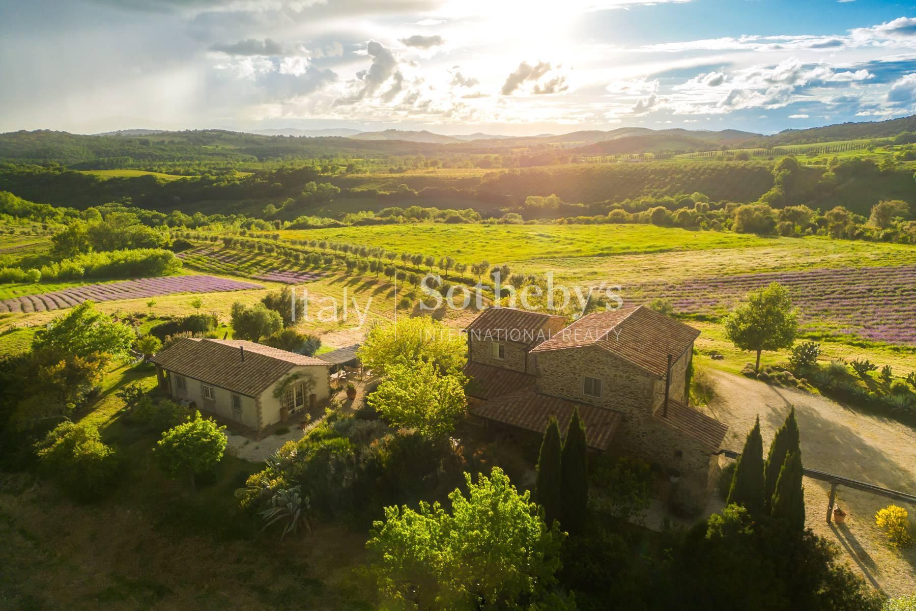 Magnifica Tenuta vicino a Capalbio - 3