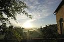 Incantevole colonica sulle colline di Firenze, in affitto, Impruneta | Sotheby’s Realty Italy - 35