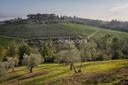 Incantevole colonica sulle colline di Firenze, in affitto, Impruneta | Sotheby’s Realty Italy - 34