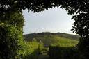Incantevole colonica sulle colline di Firenze, in affitto, Impruneta | Sotheby’s Realty Italy - 29