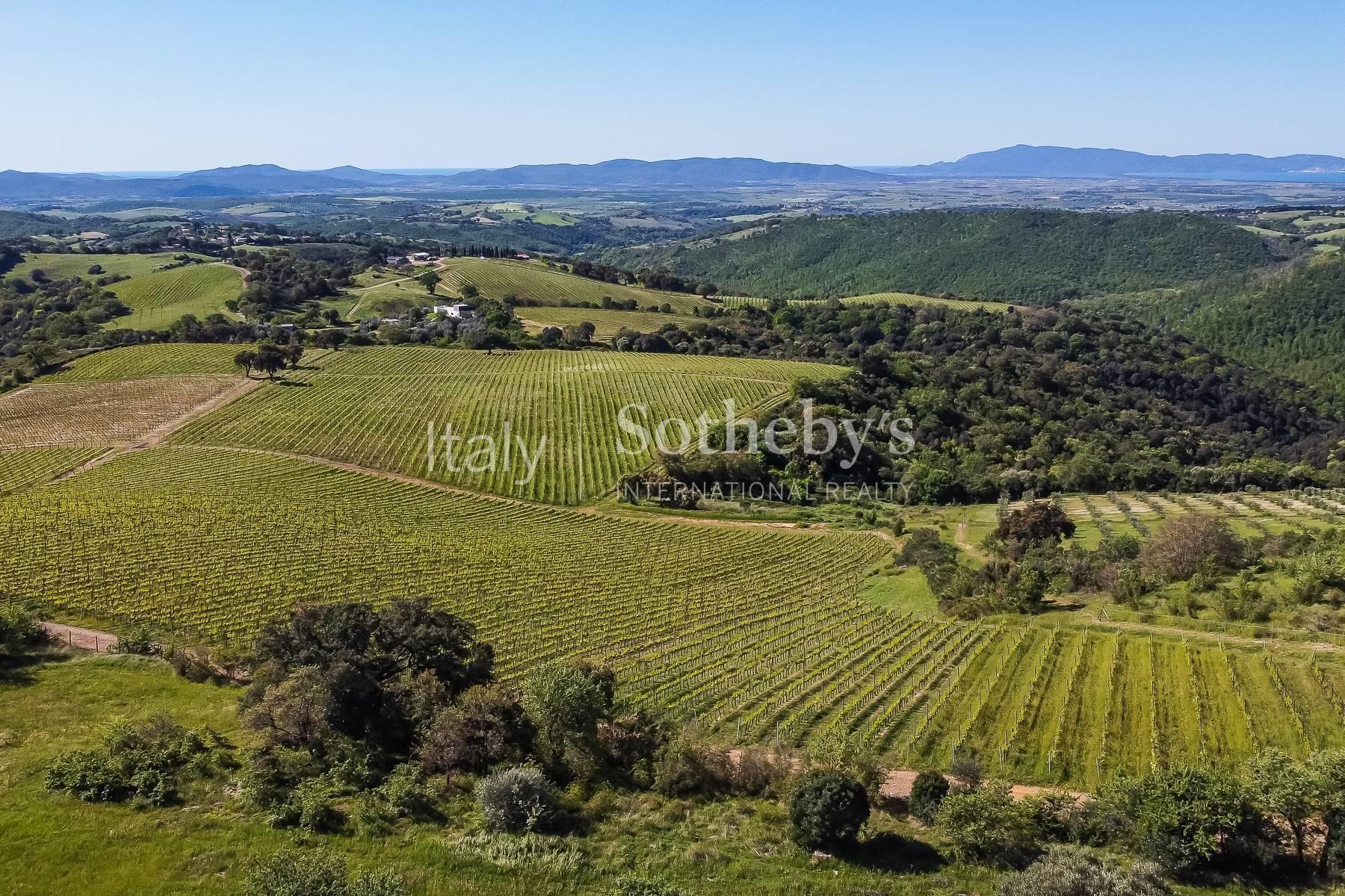 Exclusive wine estate in the Tuscan hills - 8