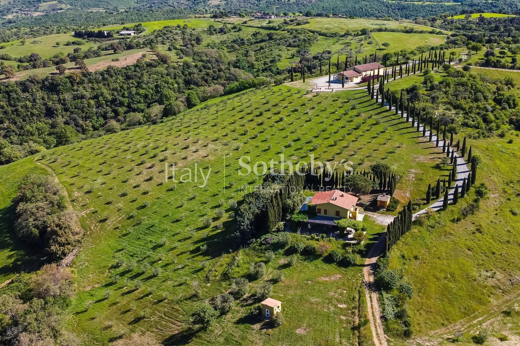 Exclusive wine estate in the Tuscan hills - 7