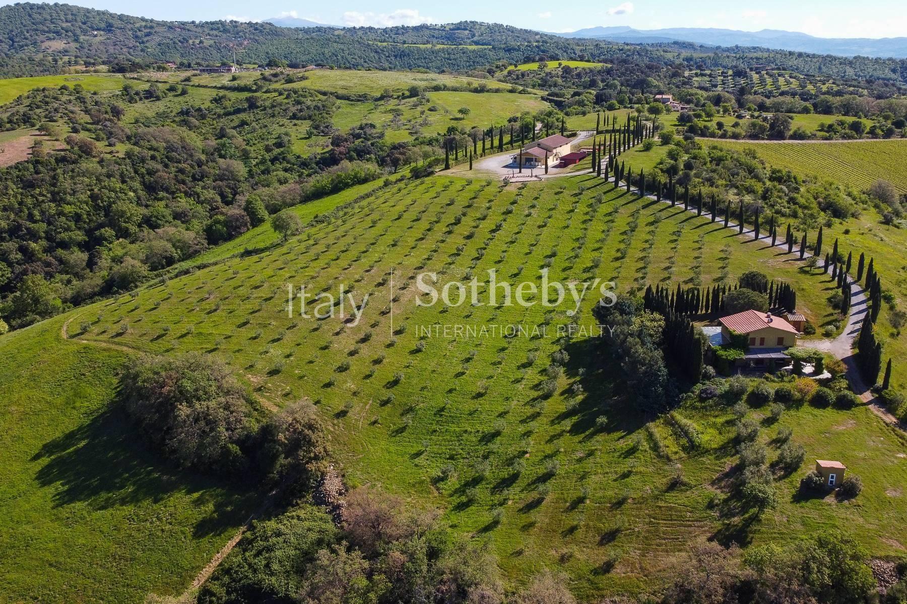 Exclusive wine estate in the Tuscan hills - 3