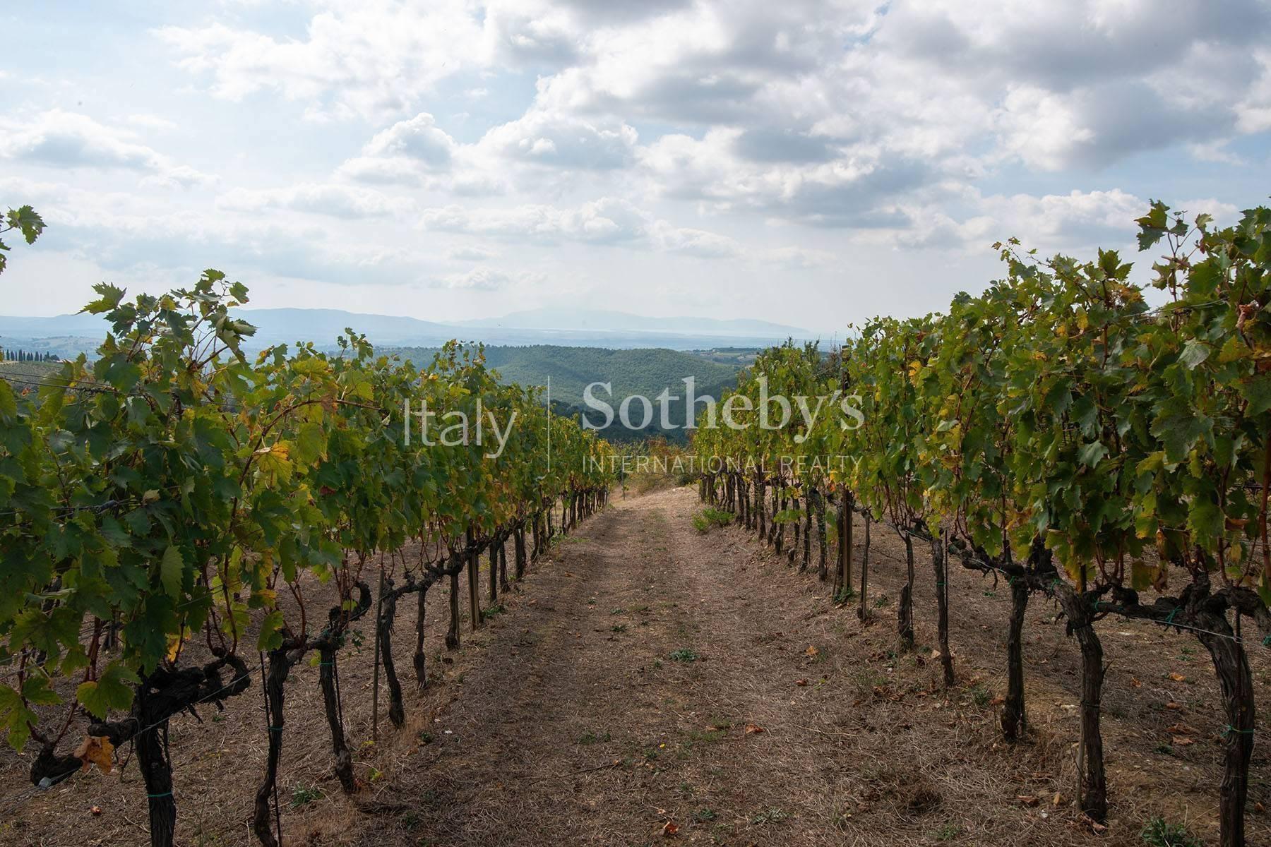 Exclusive wine estate in the Tuscan hills - 6