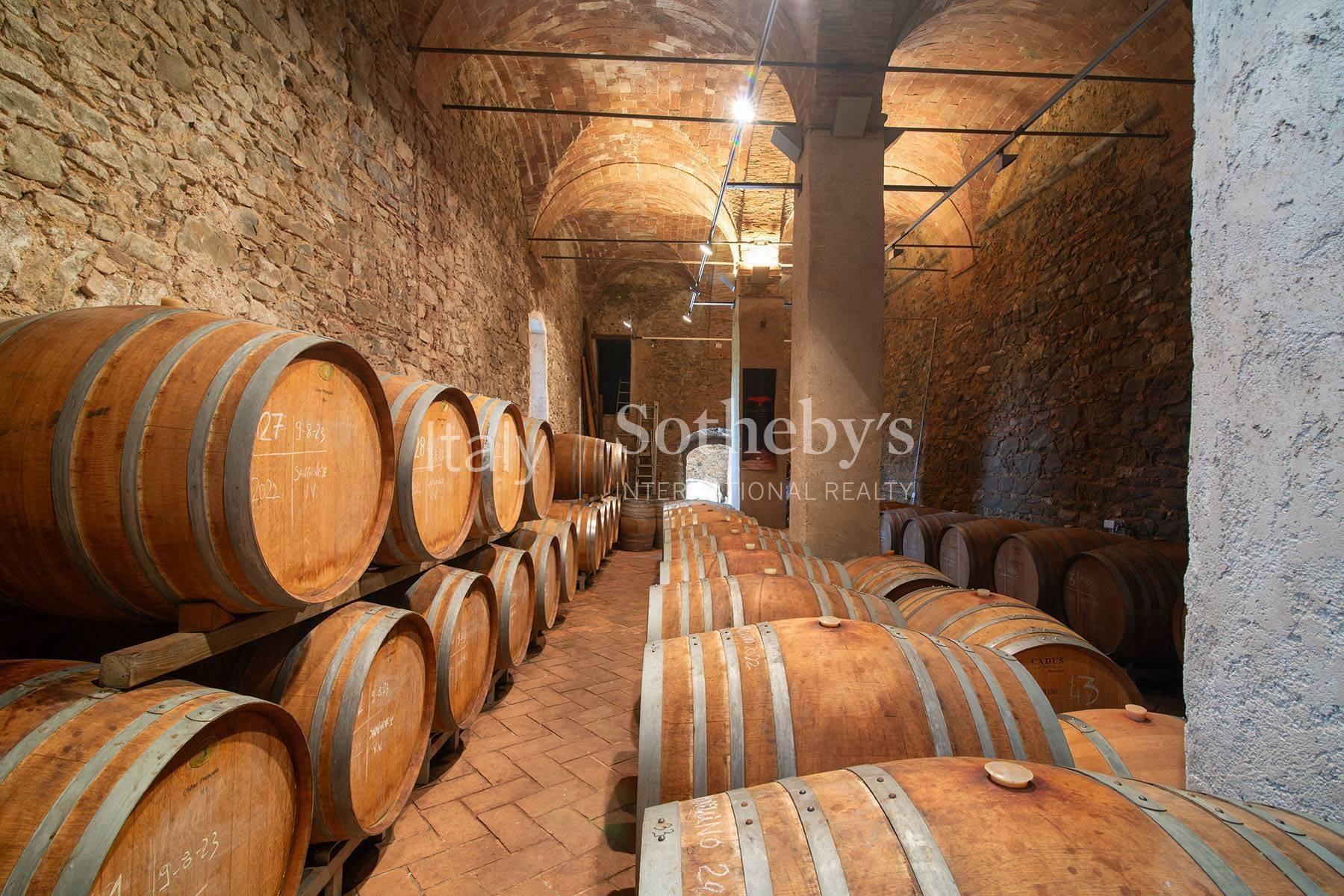 Exclusive wine estate in the Tuscan hills - 2