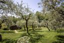 Incantevole villa con giardino nella campagna umbra, in vendita, Montefalco | Sotheby’s Realty Italy - 19