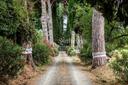 Antico casale ai Castelli Romani, in vendita, Monte Compatri | Sotheby’s Realty Italy - 22
