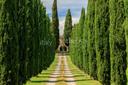 Tenuta unica nel suo genere nella campagna toscana, in vendita, Castiglion Fibocchi | Sotheby’s Realty Italy - 43