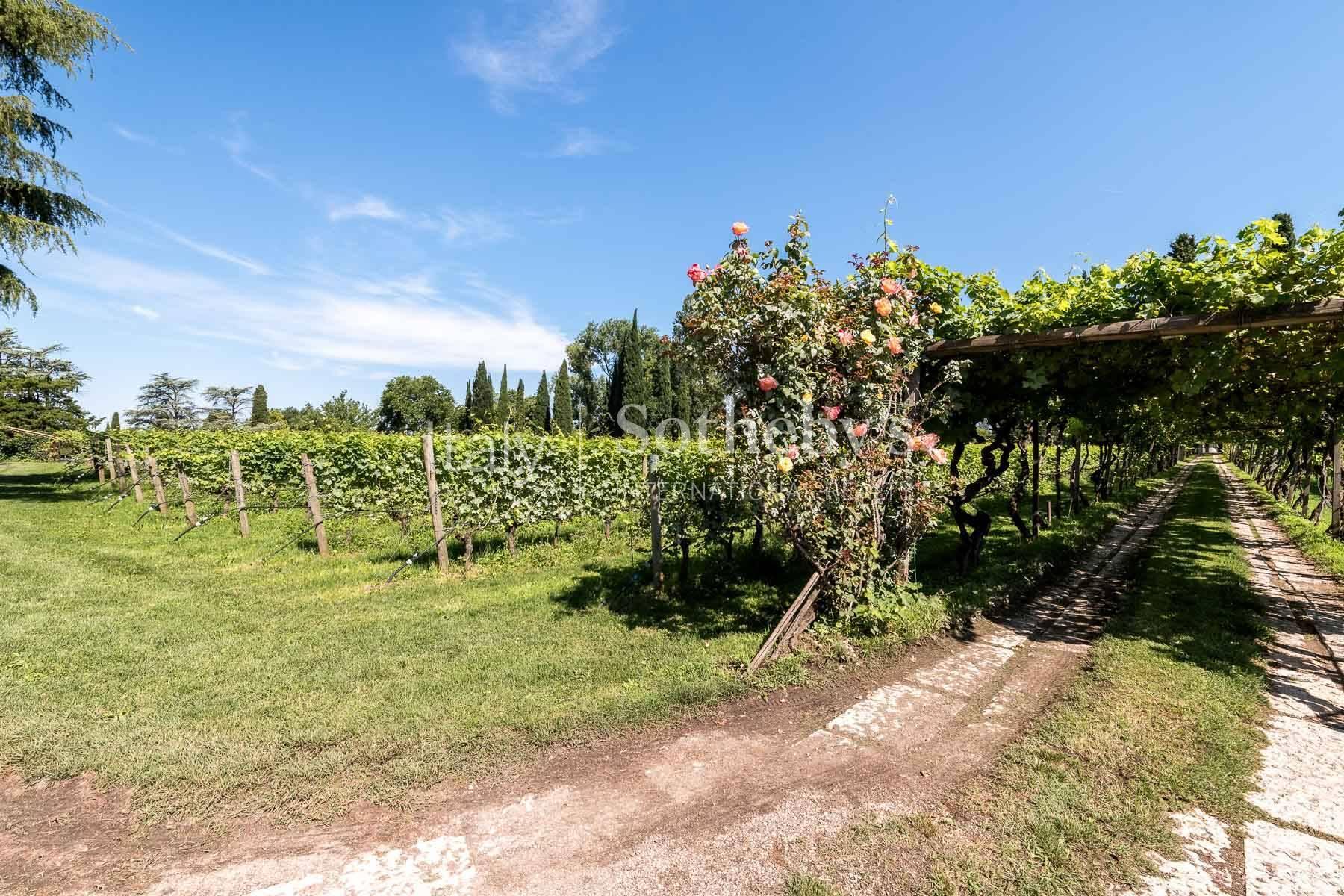 Incantevole tenuta vitivinicola alle porte di Verona, in vendita, Sommacampagna | Sotheby’s Realty Italy - 19