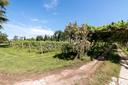 Incantevole tenuta vitivinicola alle porte di Verona, in vendita, Sommacampagna | Sotheby’s Realty Italy - 19
