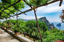 Charming villa in Capri, For sale, Capri | Sotheby’s Realty Italy - 18