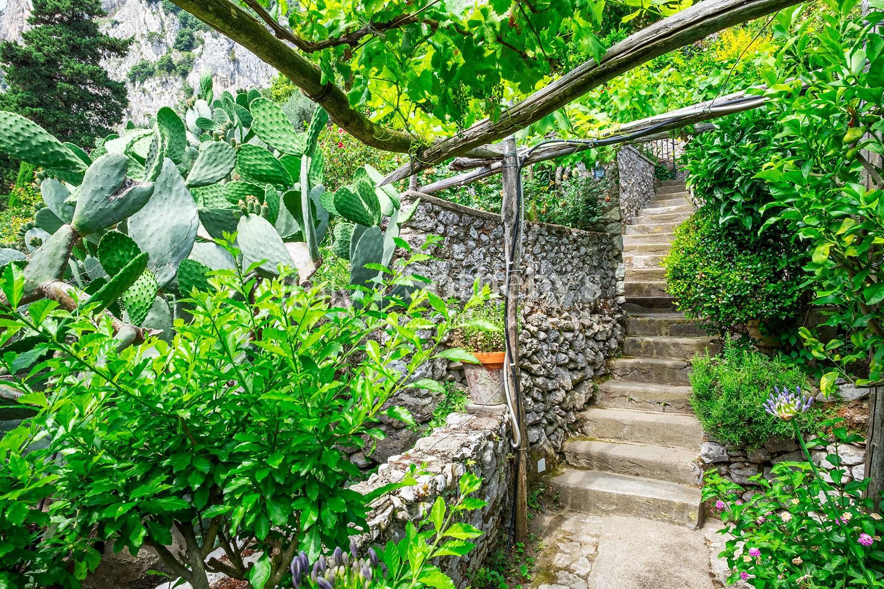 Charming villa in Capri, For sale, Capri | Sotheby’s Realty Italy - 19