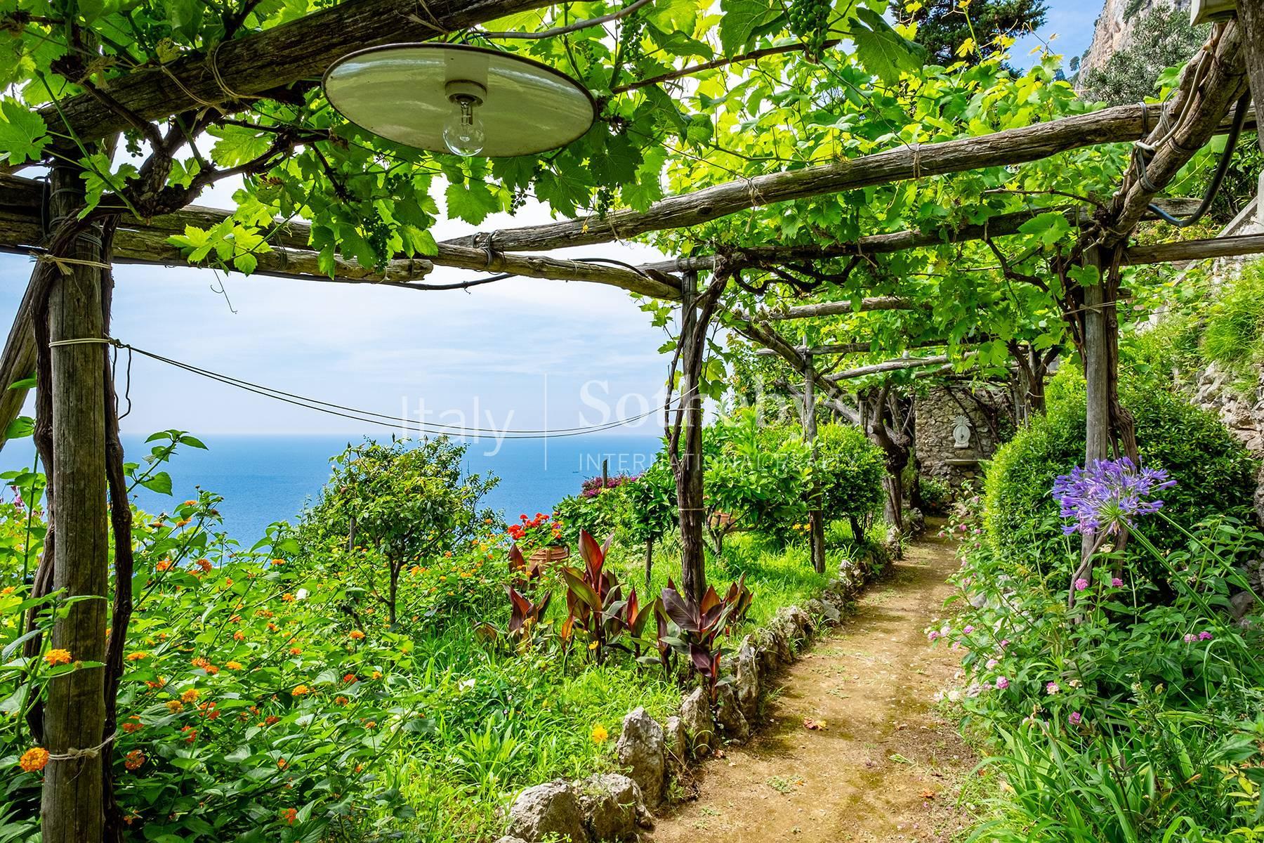 Charming villa in Capri, For sale, Capri | Sotheby’s Realty Italy - 21