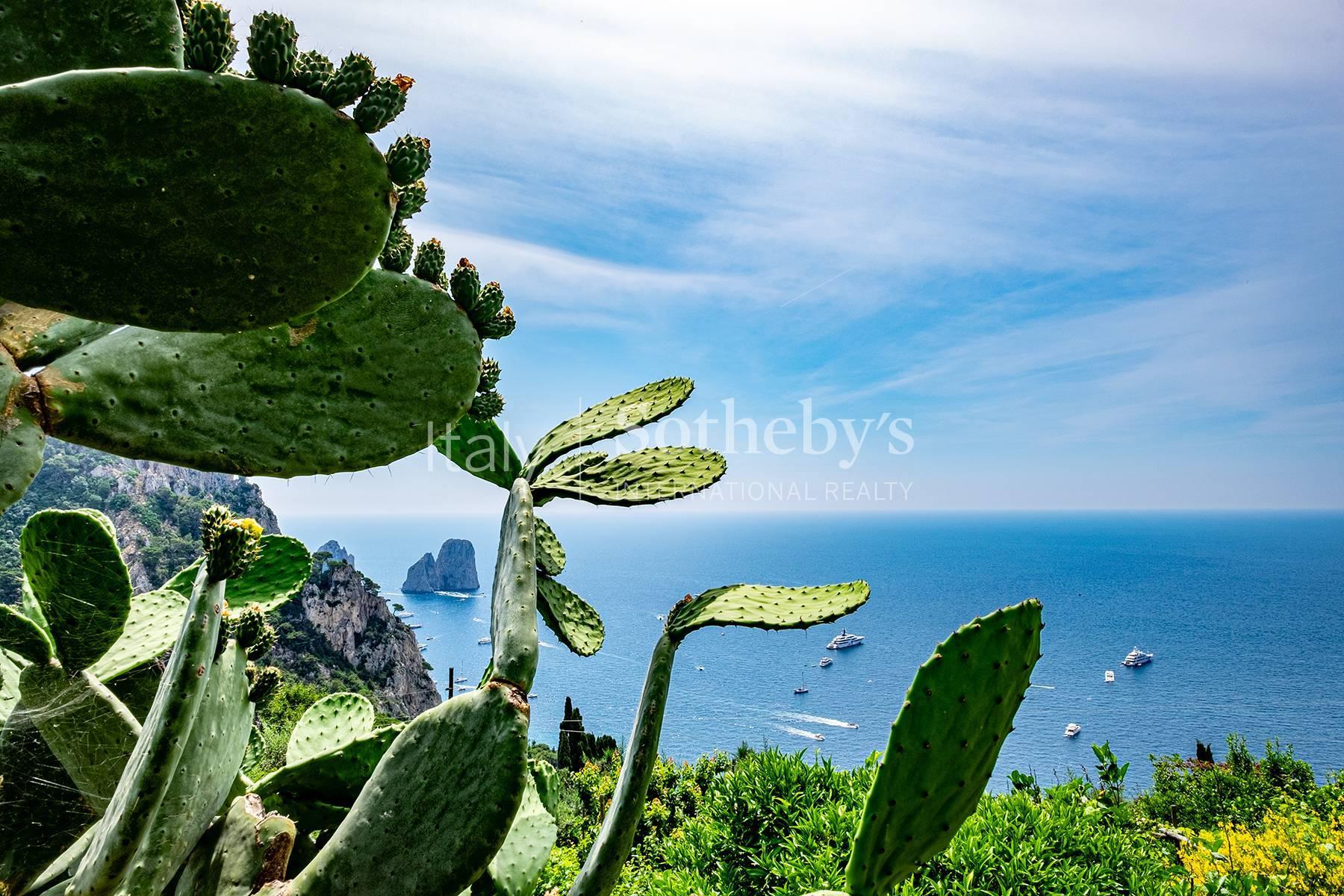 Charming villa in Capri, For sale, Capri | Sotheby’s Realty Italy - 22