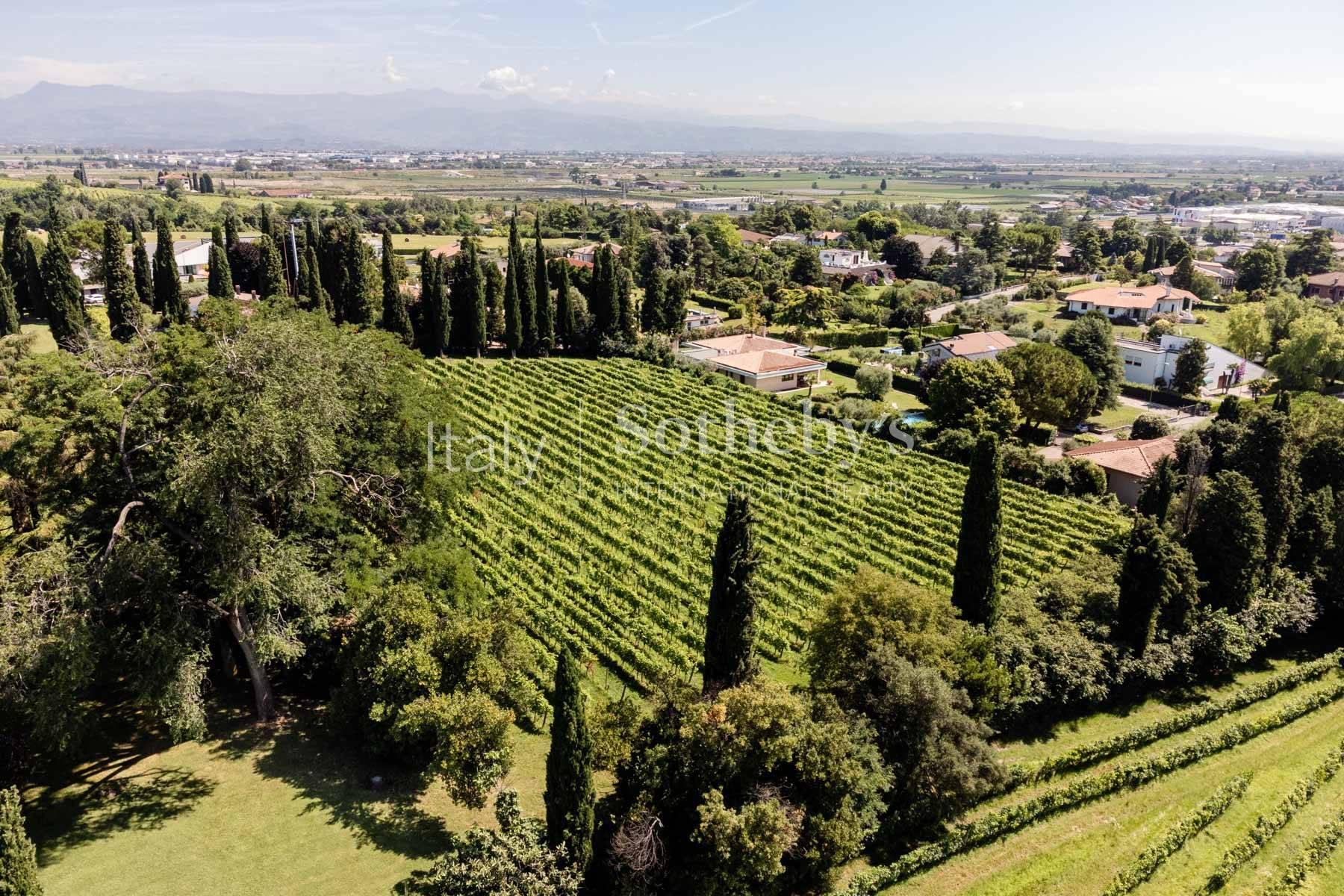 Incantevole tenuta vitivinicola alle porte di Verona, in vendita, Sommacampagna | Sotheby’s Realty Italy - 18