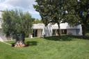 Villa Venere, comfort moderno in un autentico ambiente pugliese, in affitto, Ostuni | Sotheby’s Realty Italy - 31