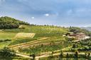 Magnifica proprietà con azienda vitivinicola nelle Langhe, in vendita, Rocchetta Belbo | Sotheby’s Realty Italy - 33