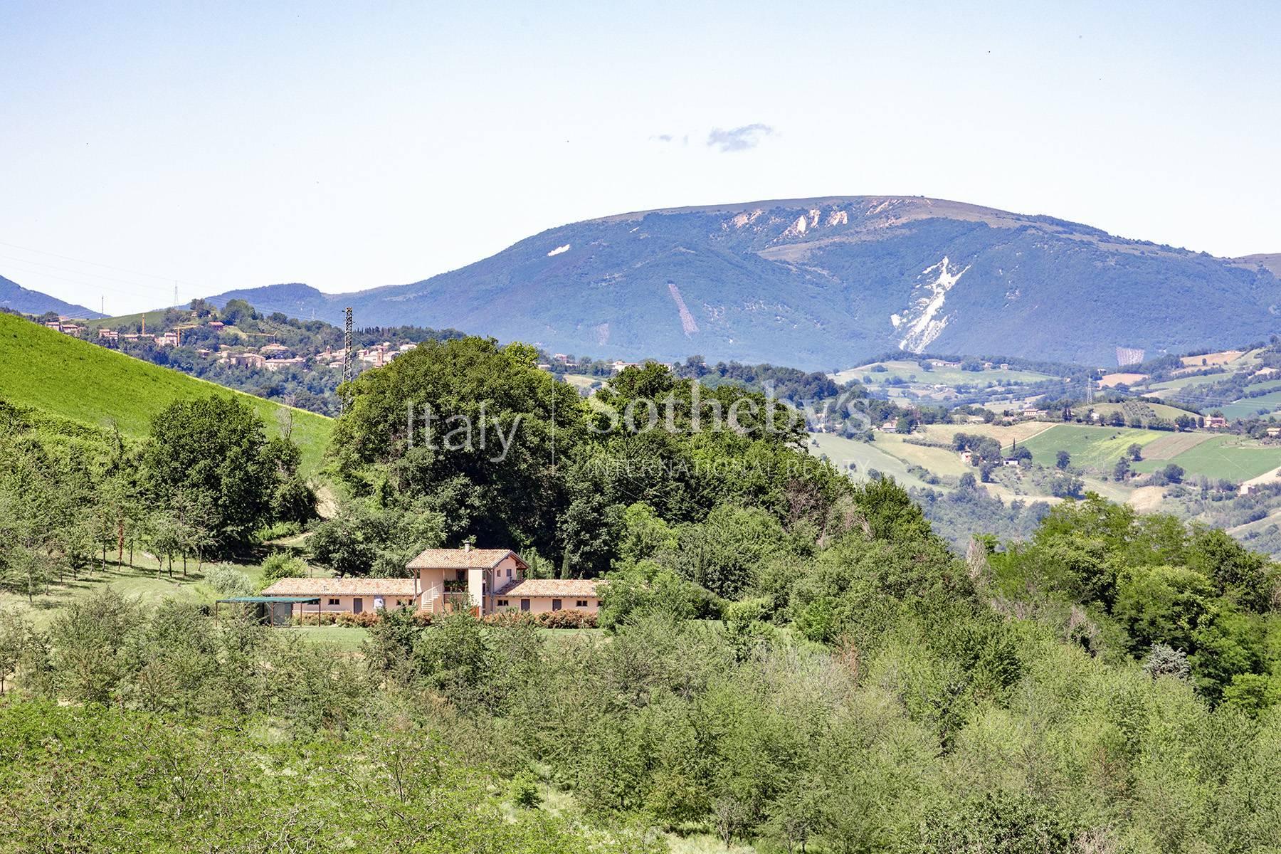 Proprietà eco-sostenibile con piscina nelle Marche - 2