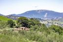 Proprietà eco-sostenibile con piscina nelle Marche, in vendita, Falerone | Sotheby’s Realty Italy - 2