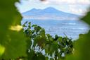 Meraviglioso appartamento panoramico tra il verde e il mare, in vendita, Napoli | Sotheby’s Realty Italy - 3