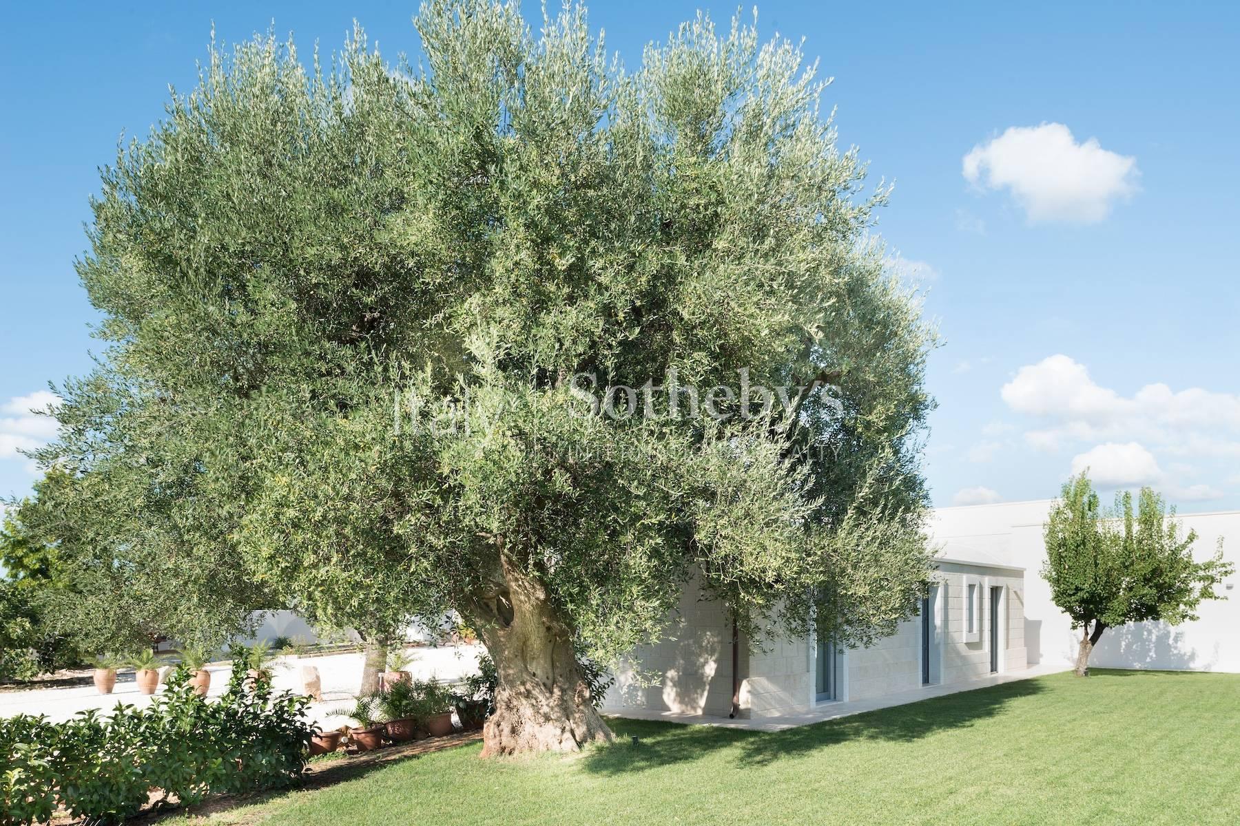 Antica masseria con ulivi e piscina, in vendita, Ceglie Messapica | Sotheby’s Realty Italy - 19