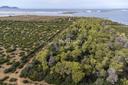 Proprietà Esclusiva nella Riserva dello Stagnone di Marsala, in vendita, Marsala | Sotheby’s Realty Italy - 9