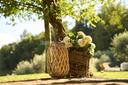 Authentic estate in the tuscan countryside, For sale, Marliana | Sotheby’s Realty Italy - 27