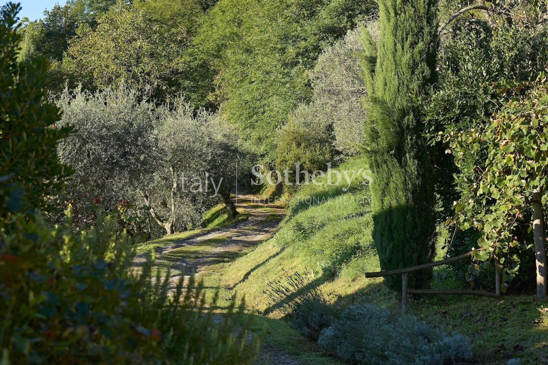 Authentic estate in the tuscan countryside, For sale, Marliana | Sotheby’s Realty Italy - 38